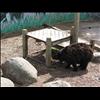 IMG_6854
20/06/2004 4:46:10 PM